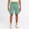 Men's Washed Canvas Stretch Fatigue Short,Timberland