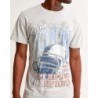 Men's Indianapolis Colts Graphic Tee